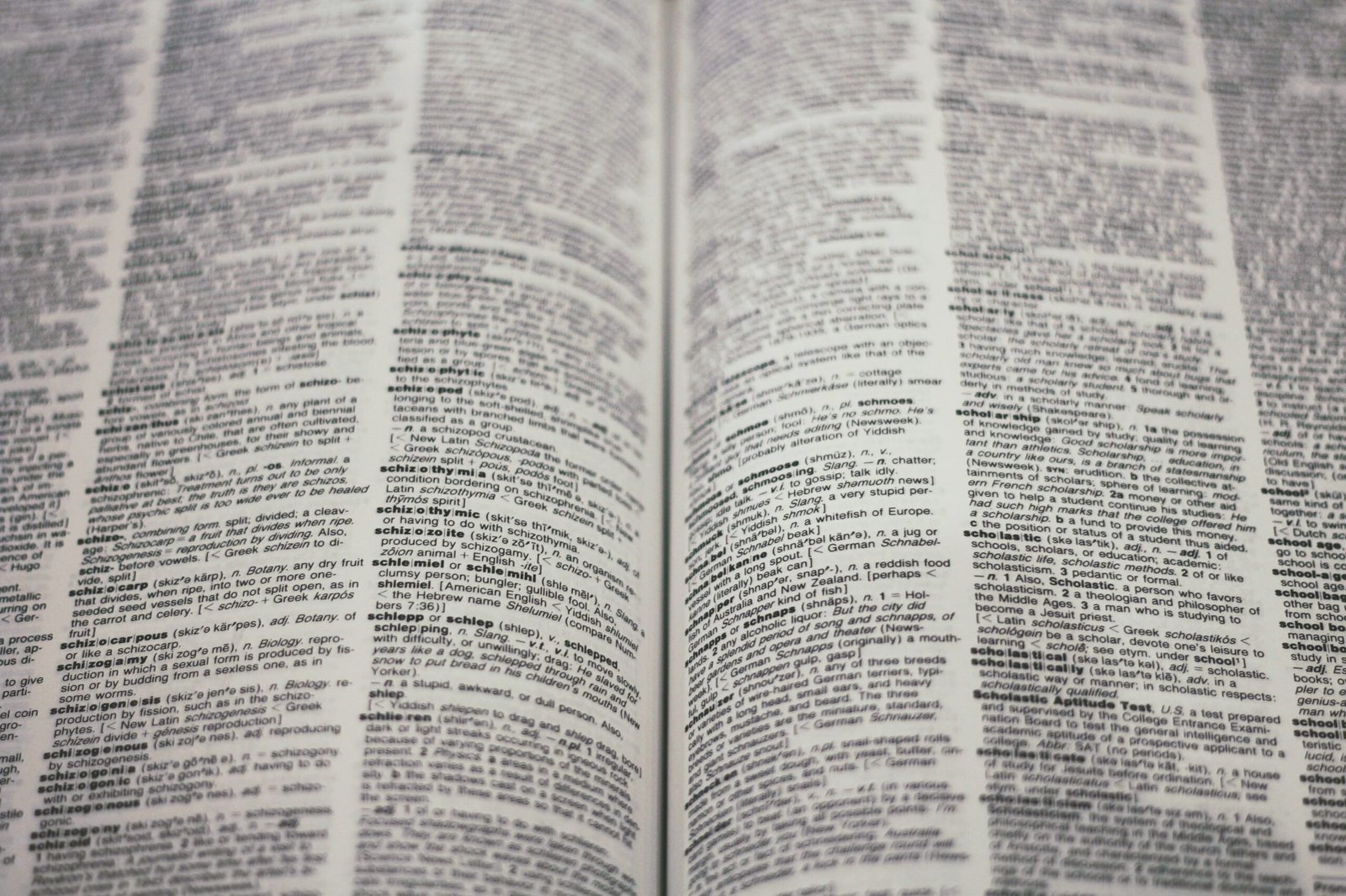 Bridging Cultures: The Art and Impact of Seamless Language Translation